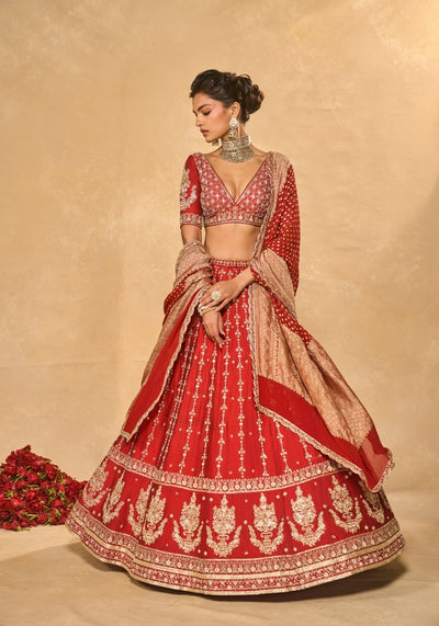 Mohini Lehenga Set