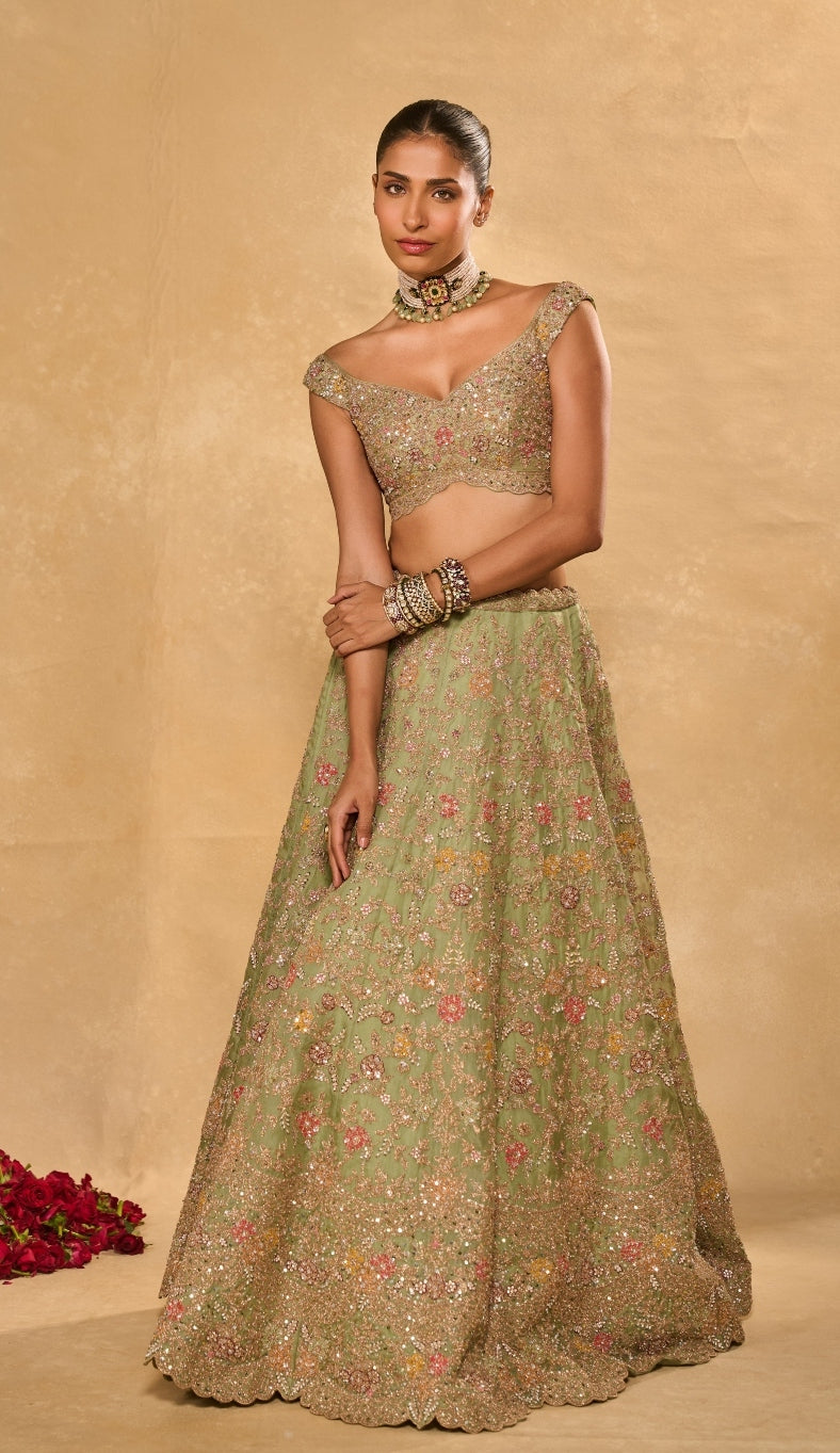 Revati Lehenga Set