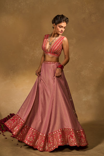 Mina Daman Lehenga Set