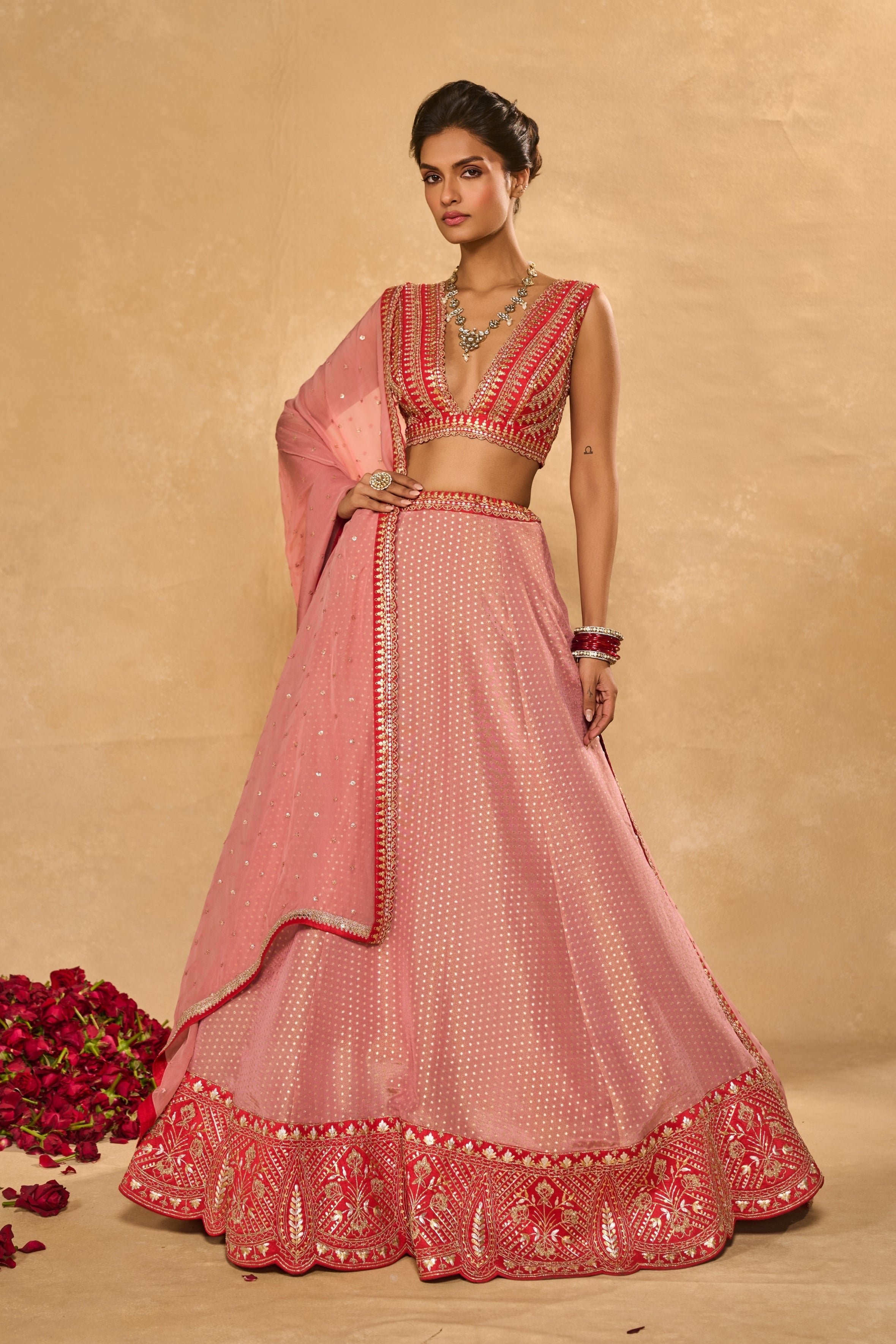 Mina Daman Lehenga Set