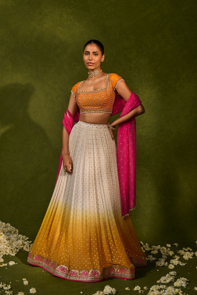 Devika Lehenga Set