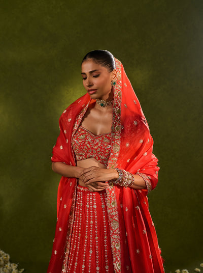 Anandi Lehenga Set