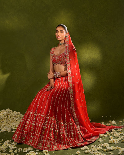 Anandi Lehenga Set
