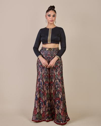 Rich Black - Multi Hued Sharara Set