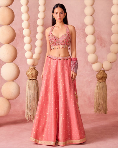 Gulnar Lehenga Set