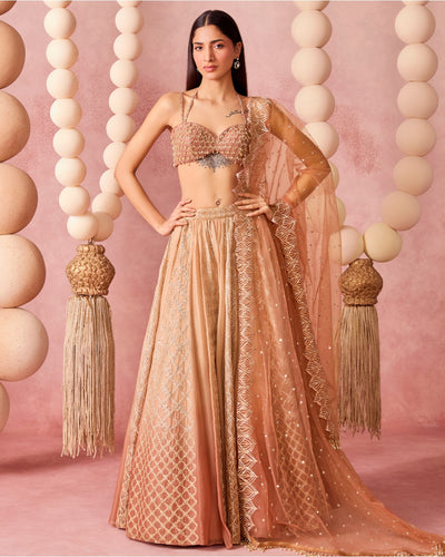Saachi Lehenga Set