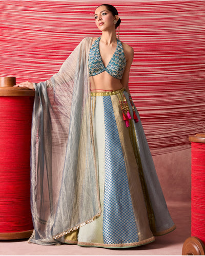 Roshni Lehenga Set