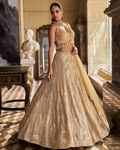 Nude Pearl Lehenga Set