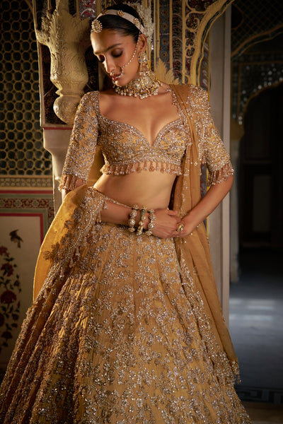 Gold Vows Crystal Lehenga Set