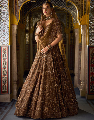 Bronze Vows Tissue Lehenga Set