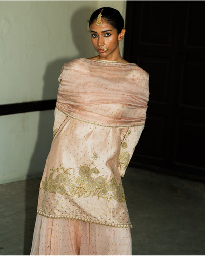 Blush Pink Embroidered Silk Tunic Sharara Set