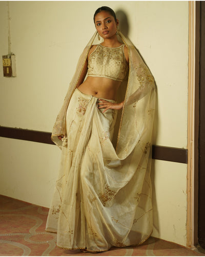 Ivory Embroidered Sari & Blouse Set
