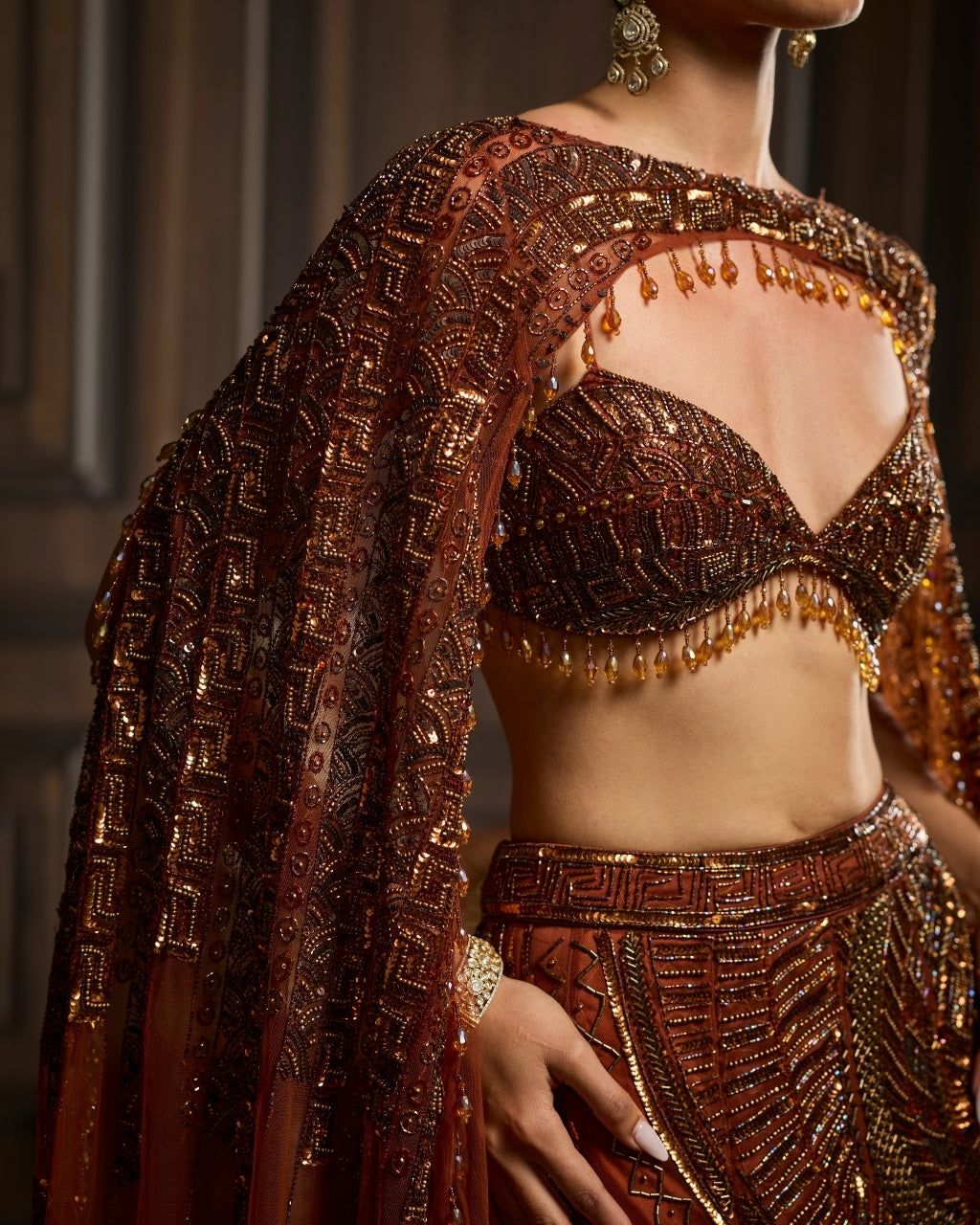 Kelly Caramel Brown Fully Embroidered Mermaid Trailskirt Set