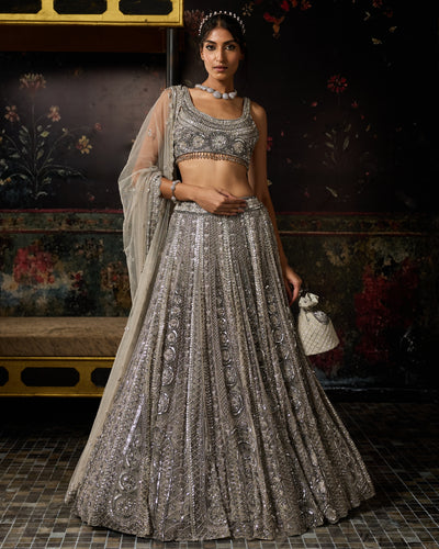 Grey Gunmetal Embellished Arc Circle Lehenga Set