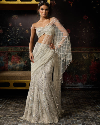 Silver Fully Embroidered Mermaid Skirt Sari Set