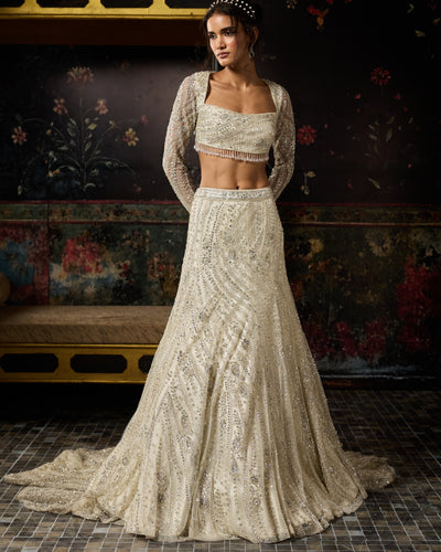 Silver Fully Embellished Long Trail Lehenga Set