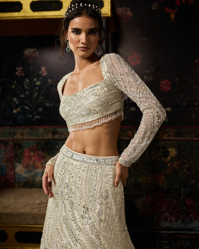 Silver Fully Embellished Long Trail Lehenga Set