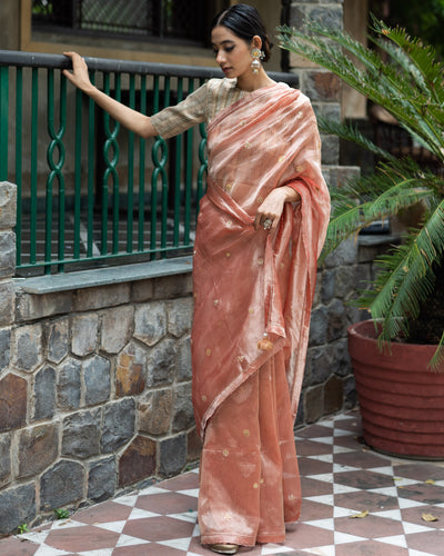 Blush Pink Hand Embroidered Tissue Silk Sari With Blouse