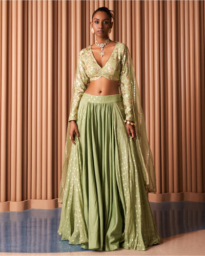 Sheer Swift Lehanga Set