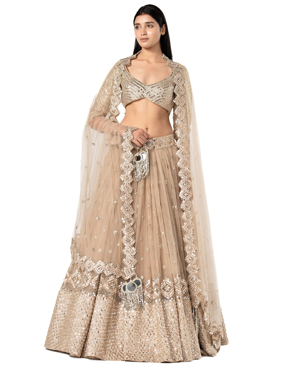 Golden Embellished Lehenga Set