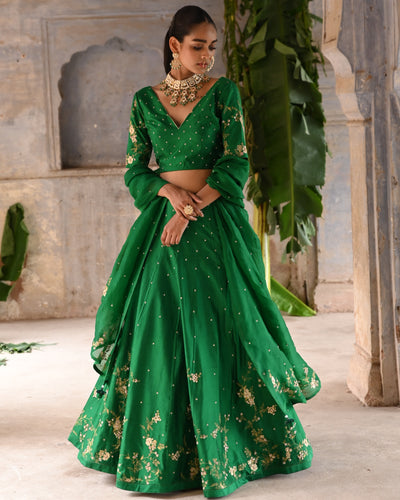 Green Hand Embroidered Lehenga Set