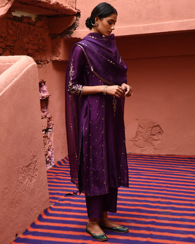 Aubergine Panelled Straight Kurta Set