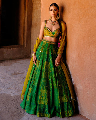 Tara Lehenga Set