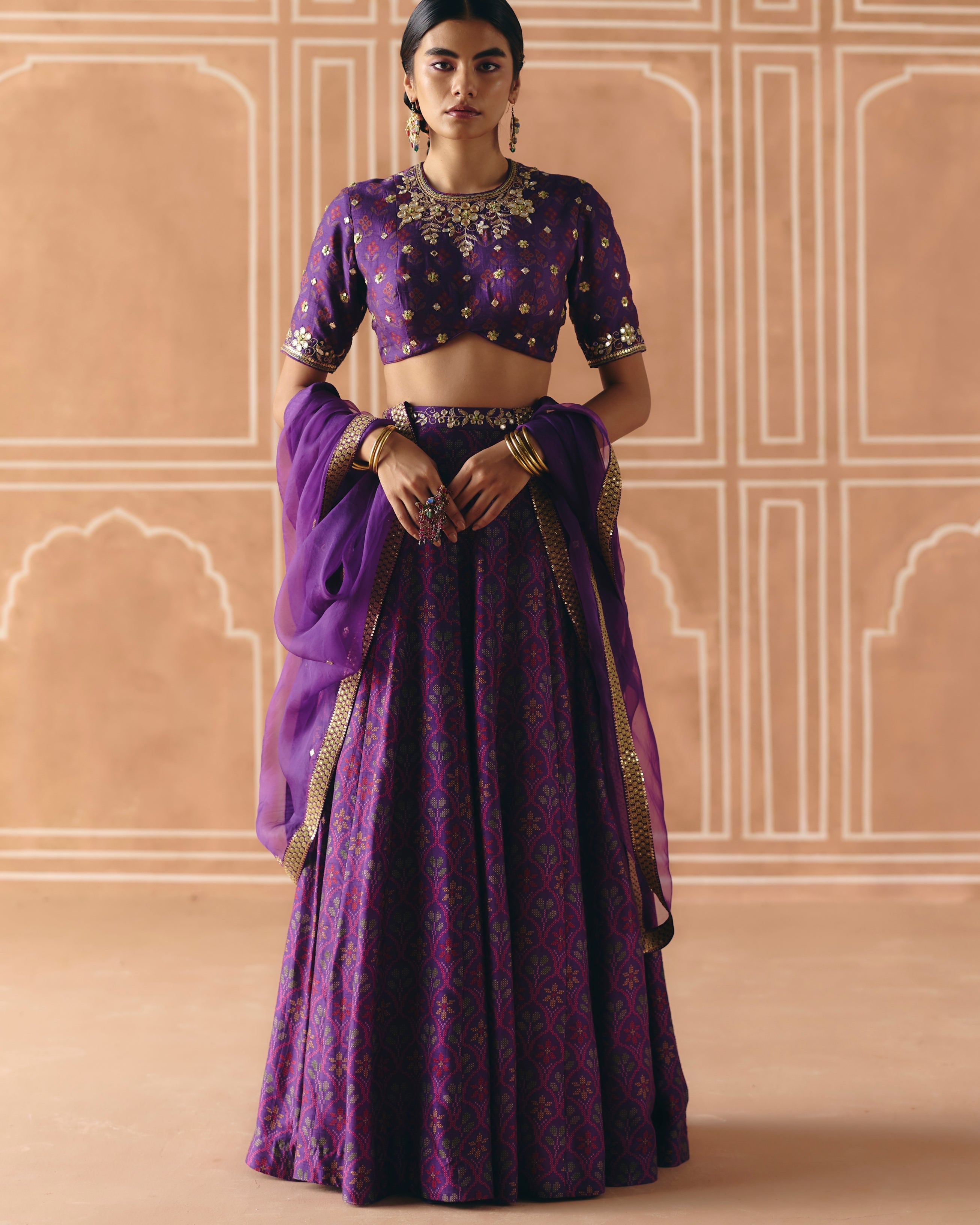 Imperial Violet Panel Lehenga Set