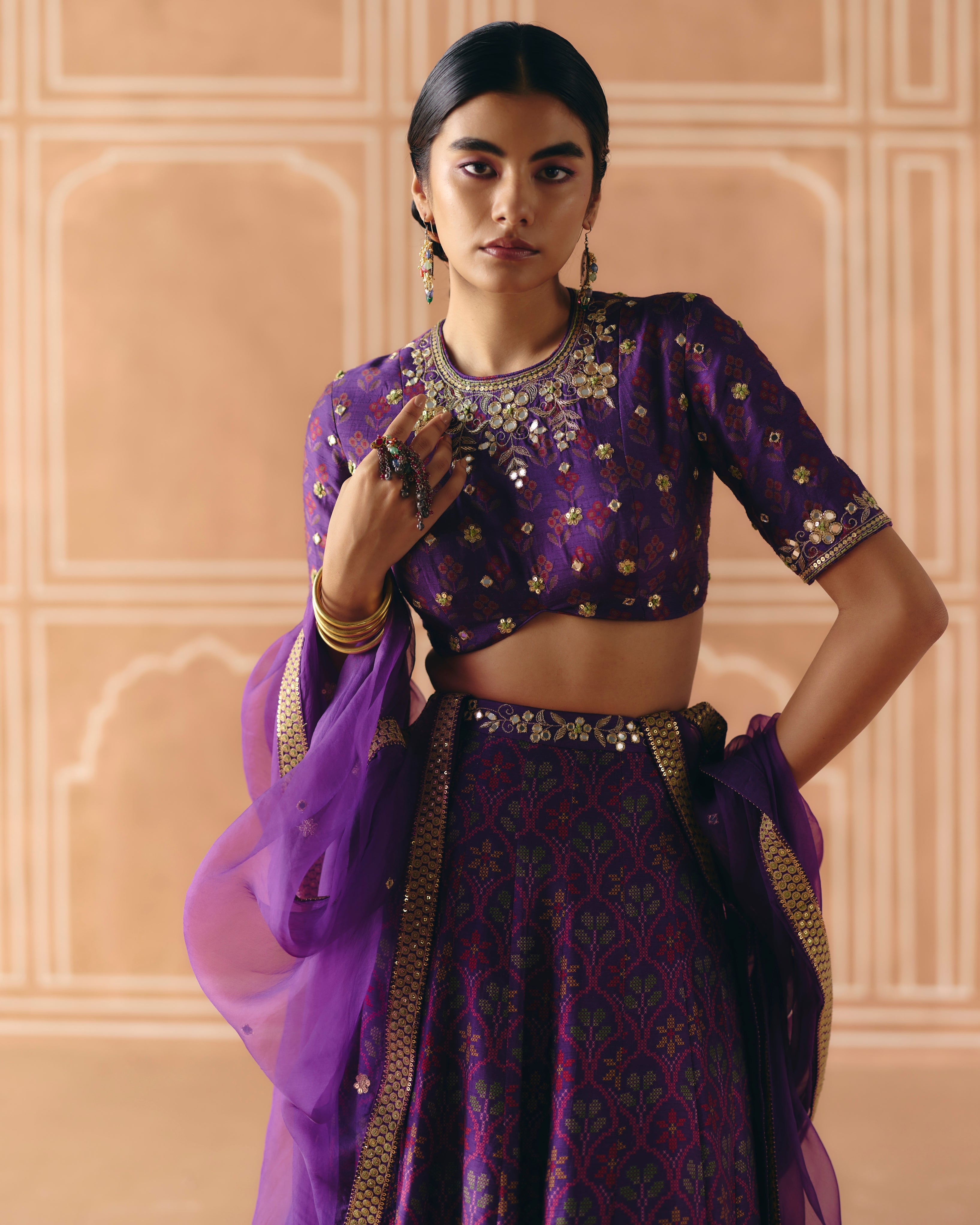 Imperial Violet Panel Lehenga Set