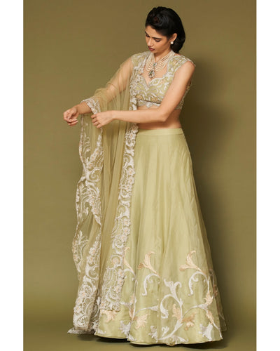 Pistachio Embroidered Silk Organza Lehenga Set