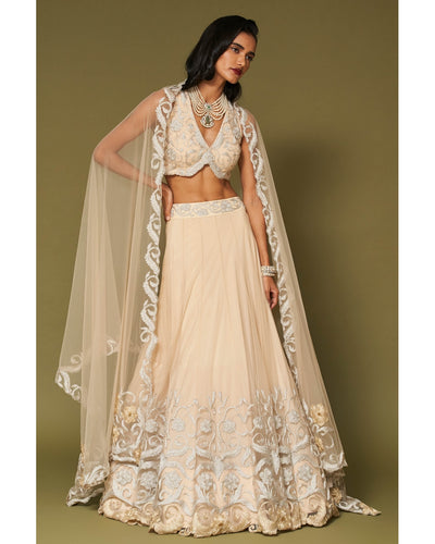 Almond Embroidered Tulle Lehenga Set