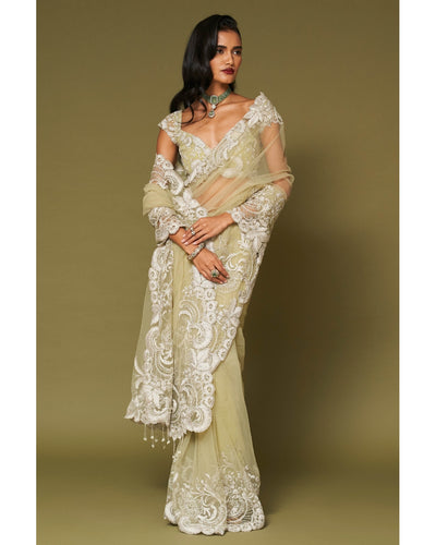 Pistachio Embroidered Tulle Sari Set