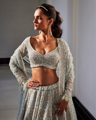 Ice Blue Embroidered Organza Lehenga Set