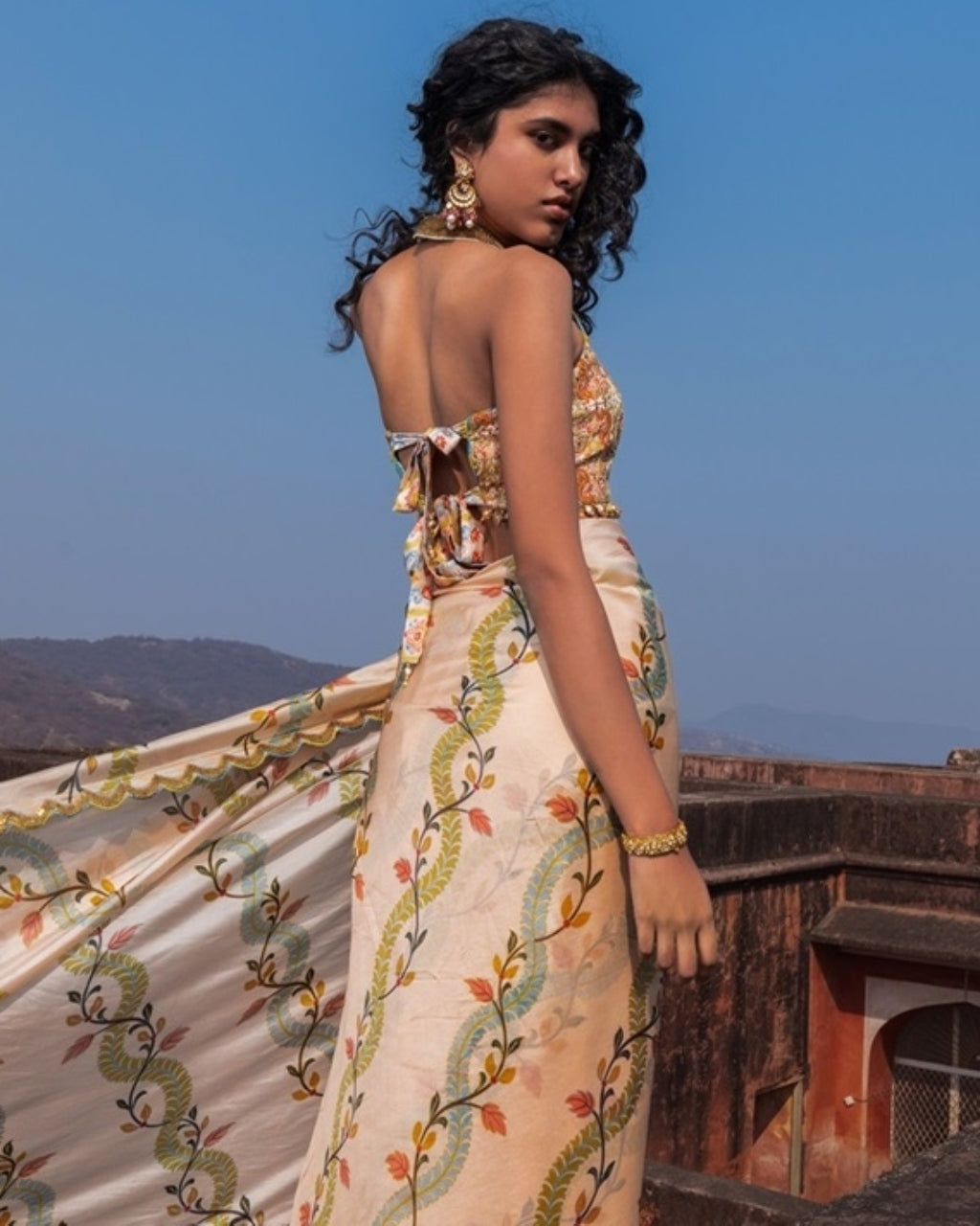 Classic Printed Sari Set