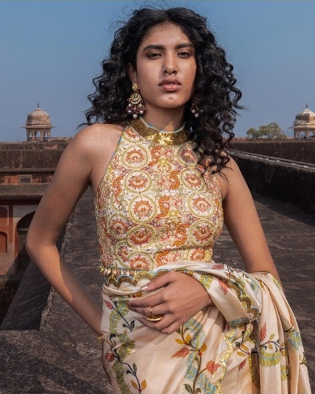 Classic Printed Sari Set