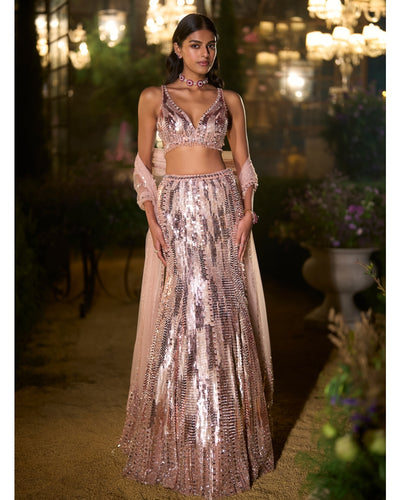Rose Gold Fit & Flare Skirt Set
