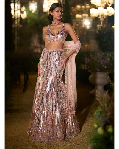 Rose Gold Fit & Flare Skirt Set