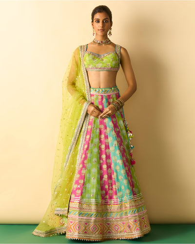 Shyama Lehenga Set