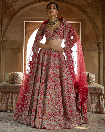 Mehzabeen Lehenga Set