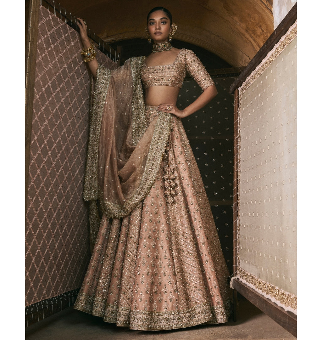 Rose Pink Panels Lehenga Set