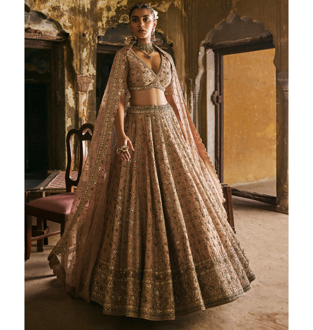 Peach Panels Lehenga Set