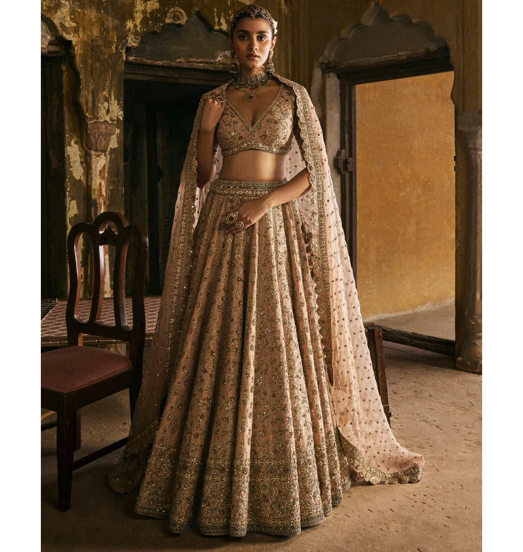 Peach Panels Lehenga Set