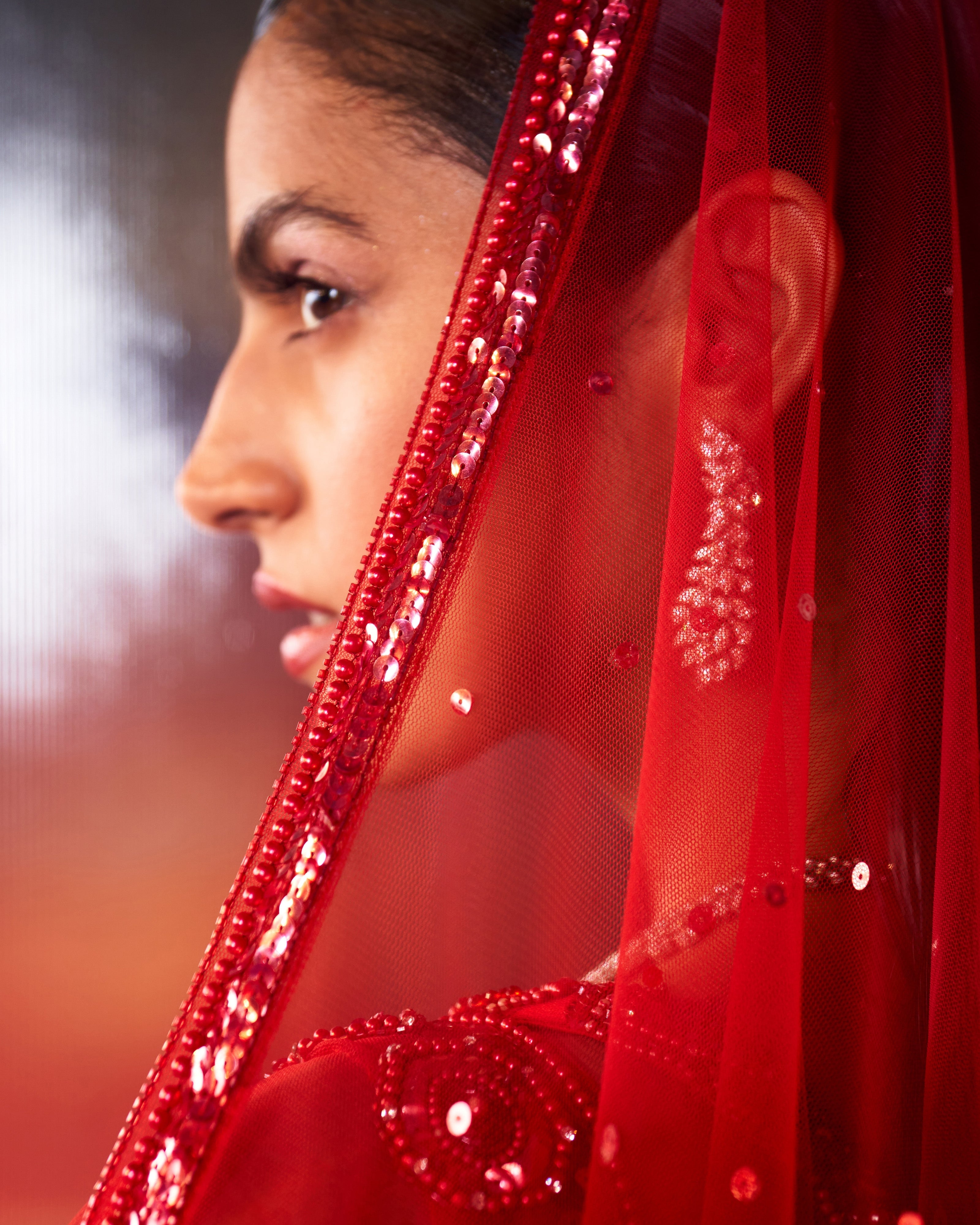 Red Net Lehenga Set