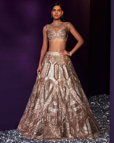 Gold Tissue Lehenga Set