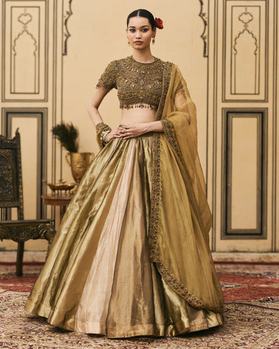 Rangoli Tissue Lehenga Set