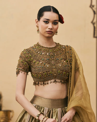 Rangoli Tissue Lehenga Set