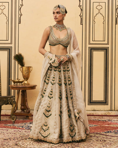 Rajat Silver Tissue Lehenga Set