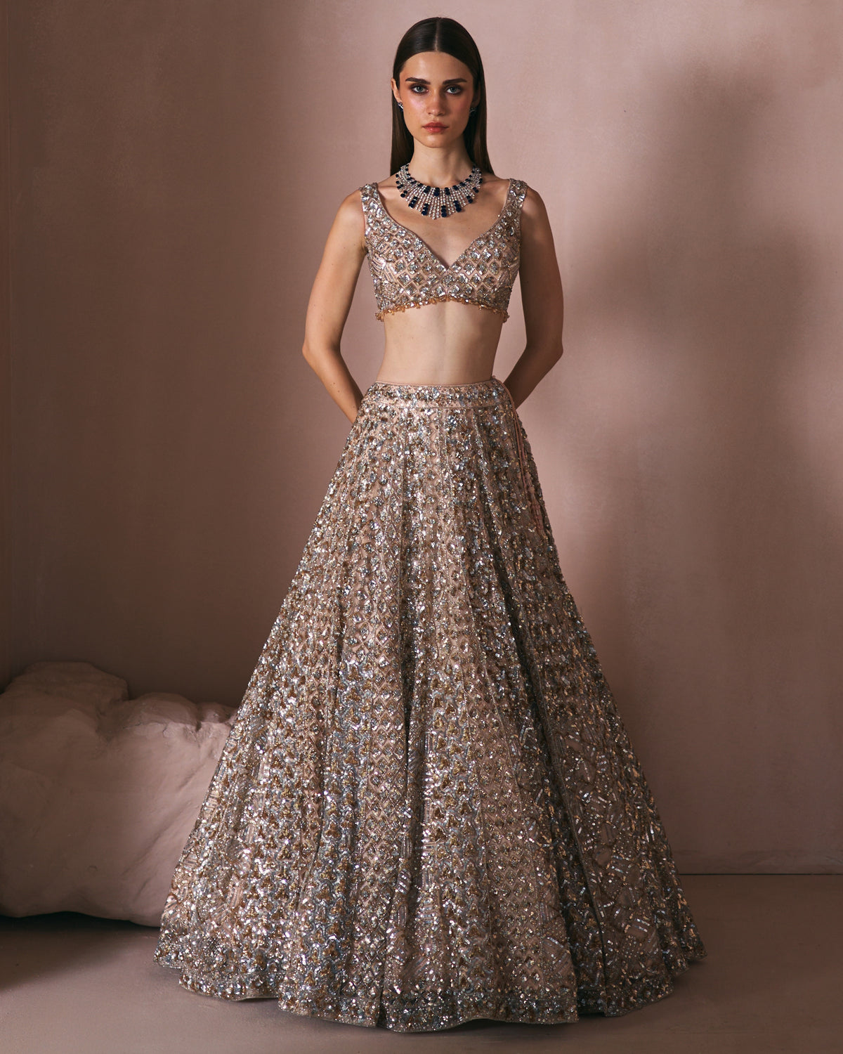 Champage Stardust Lehenga Set