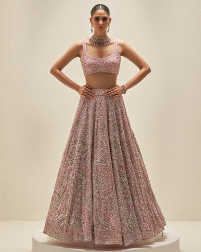 Blush Reverie Lehenga Set