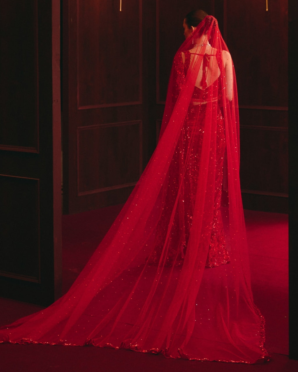 The Sovereign Flame Sari Set